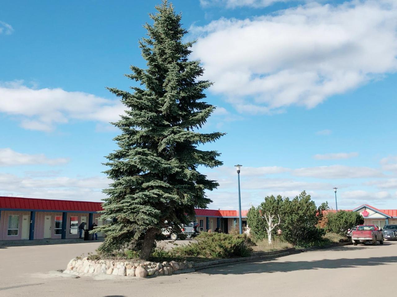 Canadian Motel North Battleford Ngoại thất bức ảnh